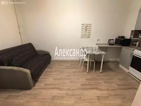 1-комнатная квартира: Санкт-Петербург, Пейзажная улица, 6 (35 м)