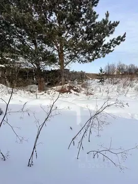 Участок в Иркутская область, Иркутский муниципальный округ, Маркова рп ...