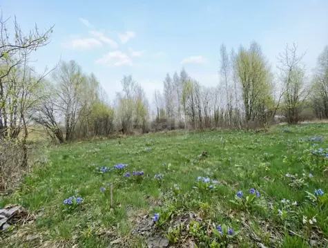 Участок в Ярославская область, Ярославский муниципальный округ, д. ...