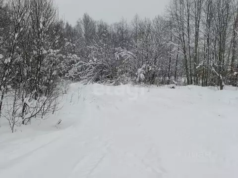 Участок в Ленинградская область, Киришский район, Будогощь пгт ул. ...