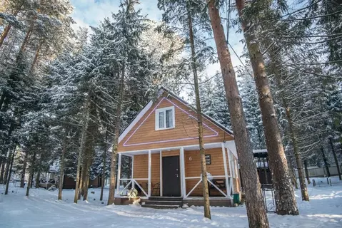 Дом в Ленинградская область, Тосненский район, Шапкинское с/пос, пос. ...