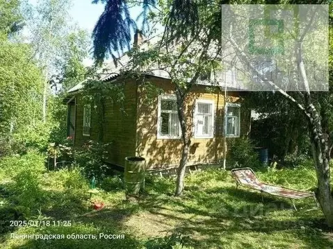 Дом в Ленинградская область, Лужский район, Мшинское с/пос, Мшинская ...