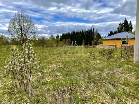 Участок в Псковская область, Печоры пл. Победы (15.0 сот.)