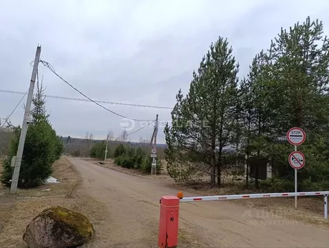 Участок в Ленинградская область, Выборгский район, Рощинское городское ...