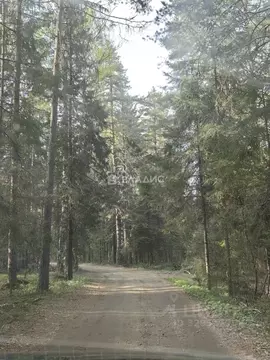 Участок в Ярославская область, Рыбинский муниципальный округ, д. ...