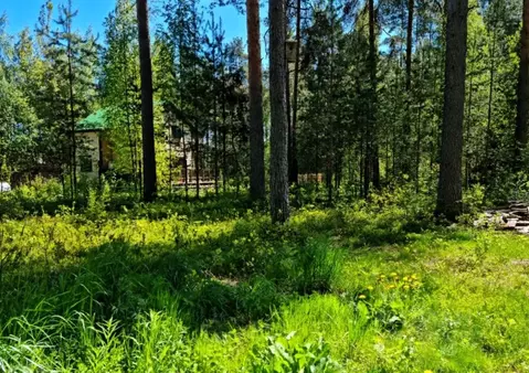 Участок в Ленинградская область, Гатчинский муниципальный округ, ...