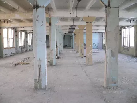 Помещение свободного назначения в Омская область, Омск просп. Карла ...