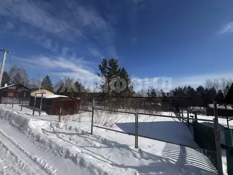 Участок в Новосибирская область, Новосибирский район, Новолуговской ...