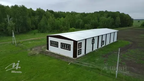 Производственное помещение в Алтайский край, Калманский район, Зимари ...