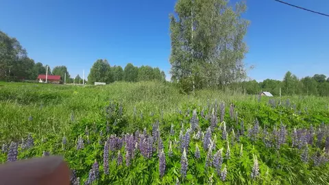 Участок в Удмуртия, Завьяловский район, Мирный починок 5 (9.4 сот.)