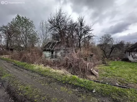 Участок в Брянск, садоводческое объединение Родина (1039 м)