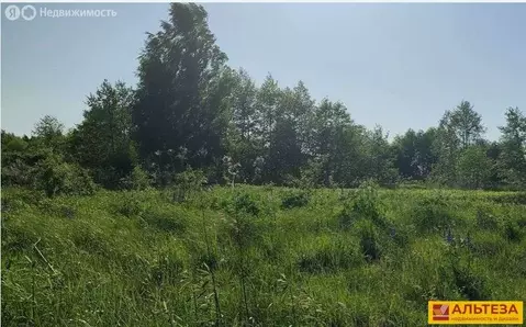 Участок в Луговое, станция Луговое Новое (8.79 м)