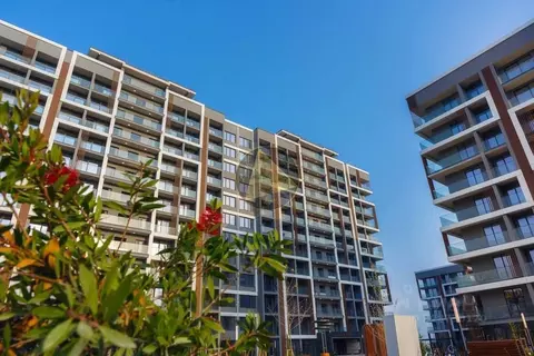 Студия Крым, Феодосия муниципальный округ, Коктебель пгт ул. ...