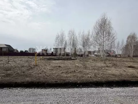 Участок в Новосибирская область, Ордынское рп ул. Вагайцевская (10.0 ...
