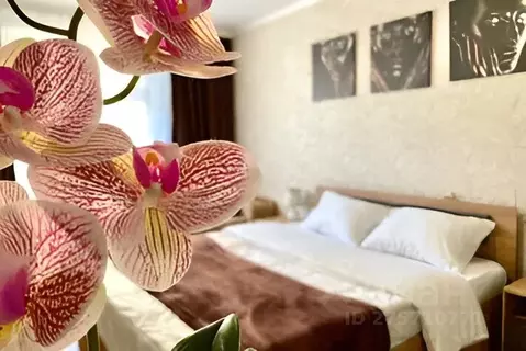 1-к кв. Ставропольский край, Кисловодск ул. Куйбышева, 53 (35.0 м)