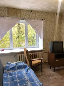 1-к кв. Владимирская область, Ковров Сосновая ул., 15/2 (18.0 м)