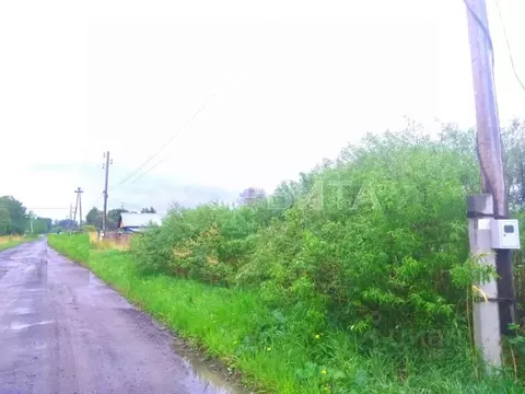 Участок в Тюменская область, Нижнетавдинский район, д. Красный Яр, ...