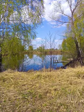 Участок в Московская область, Коломна городской округ, д. ...