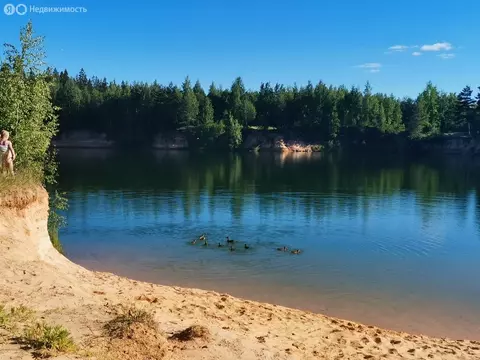 Дом в Ленинградская область, Гатчинский муниципальный округ, ...