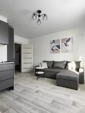 Студия Пермский край, Пермь ул. Гашкова, 56к4 (24.93 м)