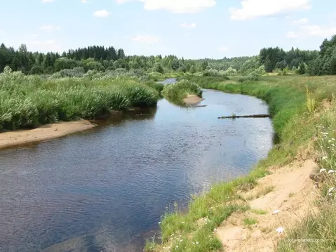 Участок в Тверская область, Рамешковский муниципальный округ, д. ...