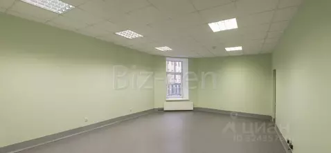 Офис в Санкт-Петербург Московский просп., 2/6 (18 м)