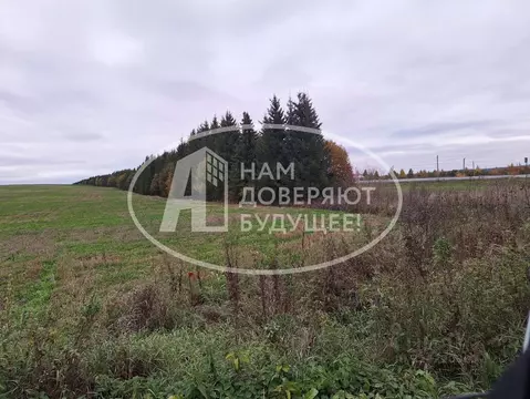 Участок в Пермский край, Кунгурский муниципальный округ, с. Неволино ...