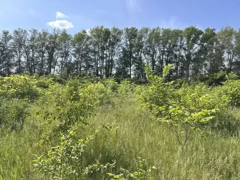 Участок в Башкортостан, Кармаскалинский район, Кабаковский сельсовет, ...