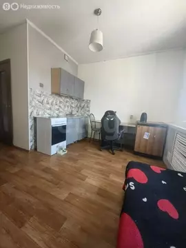 Квартира-студия: Благовещенск, Октябрьская улица, 143 (18.3 м)