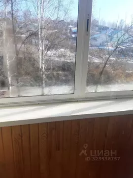 2-к кв. Челябинская область, Златоуст ул. Имени В.П. Чкалова, 3 (46.0 ...