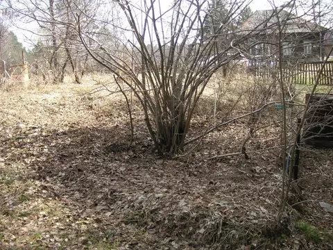 Дом в Томская область, Томск ул. Циолковского, 18 (50 м)