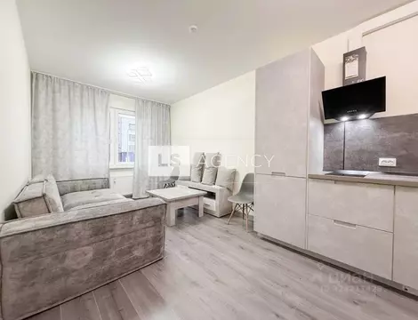 1-к кв. Санкт-Петербург Северный просп., 111 (33.6 м)