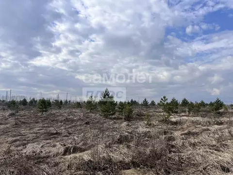 Участок в Липецкая область, Задонский муниципальный округ, с. Казино  ...