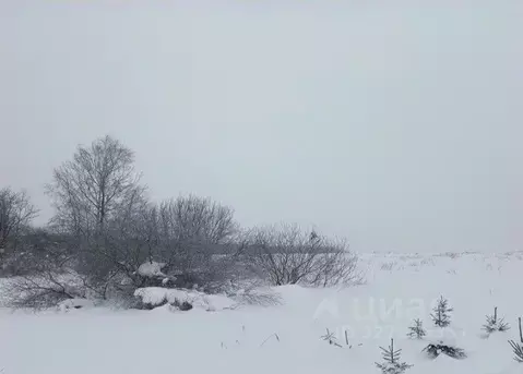 Участок в Московская область, Дмитровский муниципальный округ, д. ...