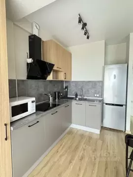 Студия Краснодарский край, Сочи городской округ, Дагомыс пгт ул. ...