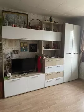 1-к кв. Ленинградская область, Всеволожский район, д. Новое Девяткино ...