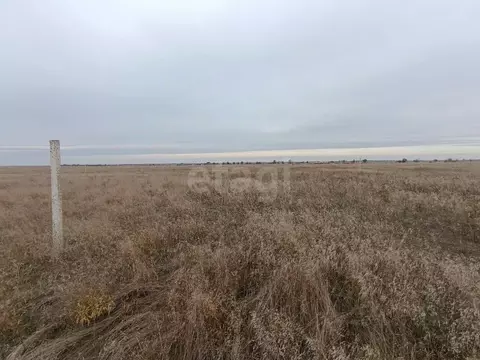 Участок в Крым, Сакский район, Молочненское с/пос, с. Витино  (6.0 ...