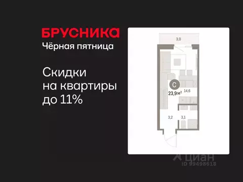 Студия Курганская область, Курган Центральный жилрайон, Дом Кино жилой ...