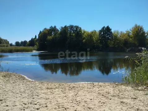 Участок в Воронежская область, Новоусманский район, Усманское 1-е ...