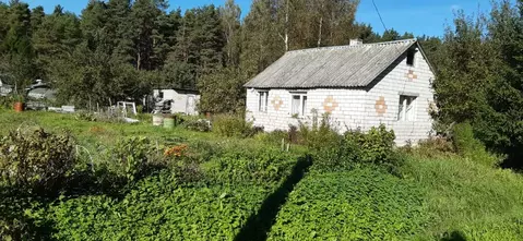 Участок в Псковская область, Псковский муниципальный округ, Тямшанская ...