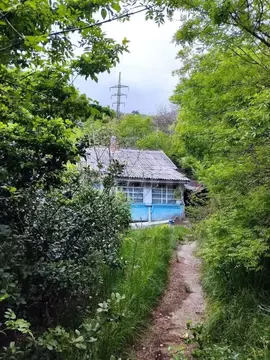 Участок в Крым, Ялта муниципальный округ, Гаспра пгт  (13.0 сот.)