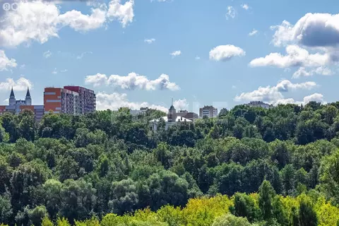 3-комнатная квартира: Москва, улица Нижние Мнёвники, 10 (75.2 м)