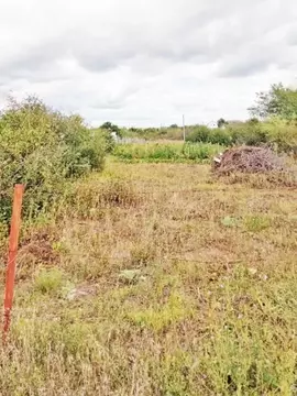 Участок в Оренбургская область, Оренбург Ростовская ул., 32 (9.22 ...