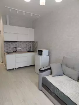 Студия Краснодарский край, Сочи Бытха мкр, ул. Ясногорская, 16/6к2 ...