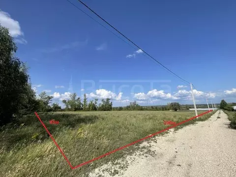 Участок в Воронежская область, Рамонский район, Новоживотинновское ...