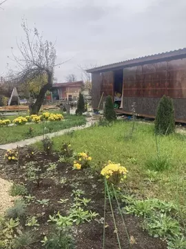 Дом в Саратовская область, Энгельсский район, Красноярское ...