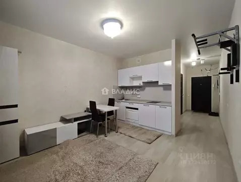 Студия Пензенская область, Пенза ул. Антонова, 5М (24.7 м)