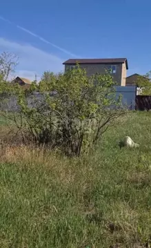 Участок в Волгоградская область, Волгоград ул. Вербная (8.9 сот.)