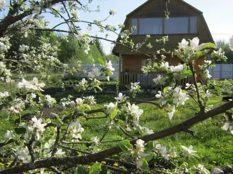 Дом в Ленинградская область, Тосненский район, Нурминское с/пос, Клен ...