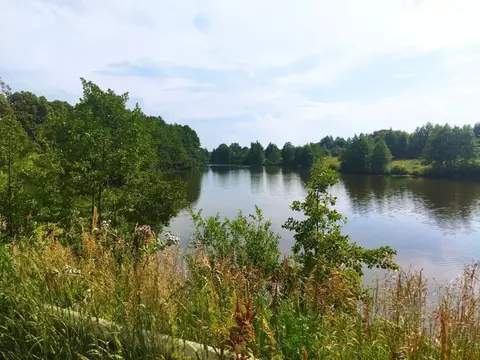 Участок в Тульская область, Ясногорский район, д. Гайтурово  (10.0 ...